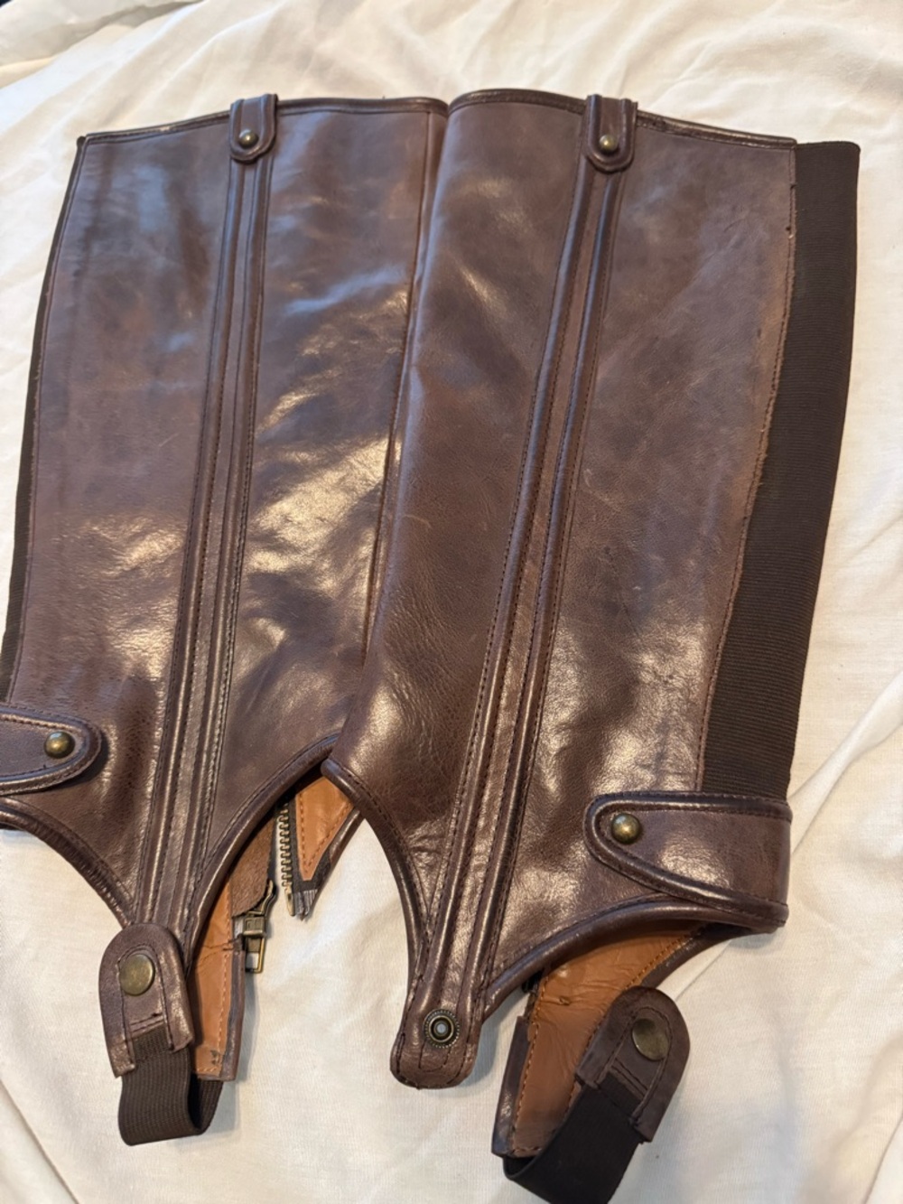Brown Leather Tall Half Chaps 8M - Picture 4 of 8